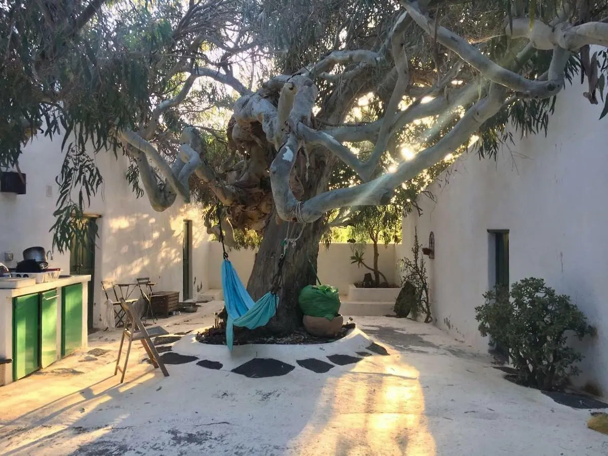 Patio II studio at finca La Asomada